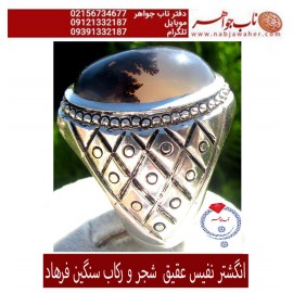 انگشتر نفیس عقیق جزع شجر یمنی کد 1165