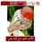 انگشتر عقیق سرخ یمنی و رکاب رسول