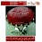 انگشترنفیس خطی نقره مردانه عقیق_یمنی خط_طه،حکاکی جواد_حیدری، رکاب_مصطفی_ابوالحسنی،رکاب_عابد وحکاکی گل_گلشن_طه_حسین
