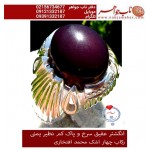 انگشترنفیس مردانه شفه_العبد_یمانی ،رکاب_تهران_افتخاری،رکاب_نقره_افتخاری 